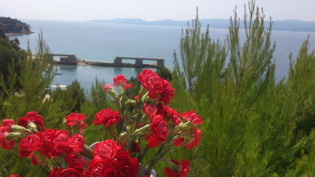 Apartmani Sea View لوكفا روجوزنيكا الغرفة الصورة